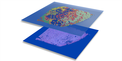 GraphVAE Diffusion.png