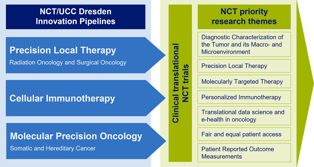 Diagram showing NCT/UCC Dresden innovation pipelines with three blue arrows labeled Precision Local Therapy, Cellular Immunotherapy, and Molecular Precision Oncology alongside a list of NCT priority research themes including diagnostic characterization, precision local therapy, molecularly targeted therapy, personalized immunotherapy, translational data science, fair patient access, and patient-reported outcome measurements