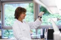 Meilenstein in der Leukämieforschung: Dresdner Langzeitstudie zeigt Potenzial, Krankheitsverläufe von Blutkrebs entscheidend zu beeinflussen