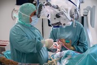 Weltkrebstag am 4. Februar: Die Dresdner Hochschulmedizin setzt Maßstäbe in der Behandlung seltener Hirntumoren