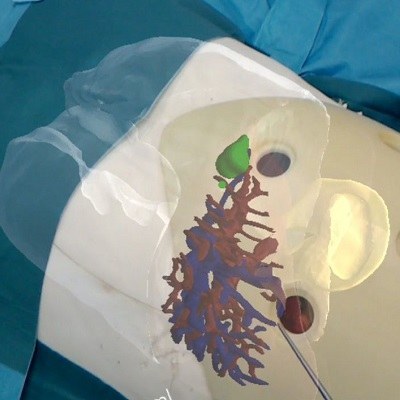 Abteilungen und Forschungsgruppen