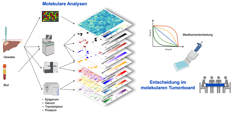 RATIONALE focuses on rare cancers: First multi-site study by the National Center for Tumor Diseases (NCT)