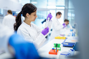 Im Labor untersuchen Wissenschaftler die Wirksamkeit verschiedener Substanzen an 3D-Zellkulturen. © NCT/UCC/André Wirsig